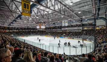 Progressive Auto Sales Arena (Photo Courtesy of Sarnia Sting)