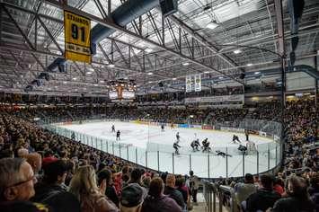 Progressive Auto Sales Arena (Photo Courtesy of Sarnia Sting)