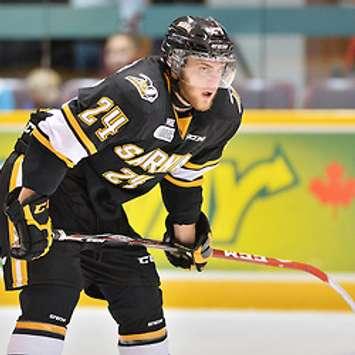 Sting Dman Kevin Spinozzi (OHL Photo)