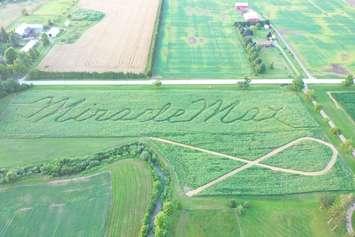 An aerial shot of the 8 acre field on my farm at 5023 Douglas Line showing the Miracle Max and cancer ribbon walking trails (Photo courtesy of Brian Schoonjans)