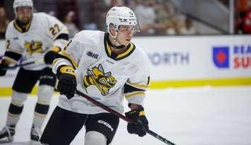 JJ Franceschetti of the Sarnia Sting. Photo by Natalie Shaver/OHL Images