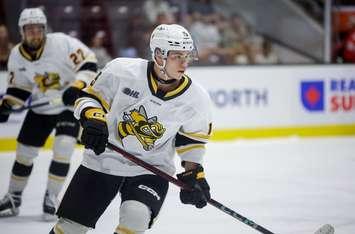 JJ Franceschetti of the Sarnia Sting. Photo by Natalie Shaver/OHL Images