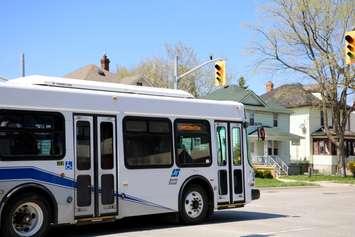 SARNIA TRANSIT- Blackburn News Sarnia File photo by Meghan Bond