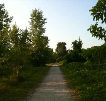 Howard Watson Nature Trail (Blackburnnews.com File Photo)