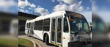 Sarnia Transit city bus. (Photo by the City of Sarnia)