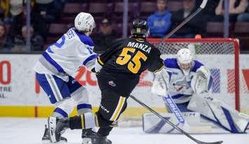 Sarnia Sting home to Sudbury, Jan 18, 2025. Photo by Metcalfe Photography. 