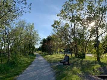 The Howard Watson Nature Trail in Sarnia. (Photo by Bluewater Trails Sarnia)
