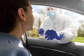 A woman is given a nasal swab test for COVID-19. File photo courtesy of © Can Stock Photo / dolgachov