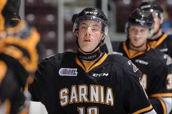 The Sarnia Sting celebrate a goal. Sept 19, 2015. (Photo courtesy of Metcalfe Photography)