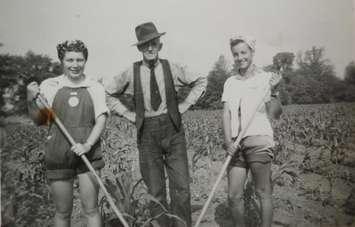 Nick Sitter of Thedford, who was referred to as "Grandpa Sitter" supervised the farmerettes and kept their hoes sharp. (Photo submitted by Bonnie Sitter).