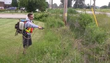The West Nile virus program includes larviciding at catch basins. (BlackburnNews.com file photo) 