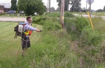 The West Nile virus program includes larviciding at catch basins. (BlackburnNews.com file photo) 