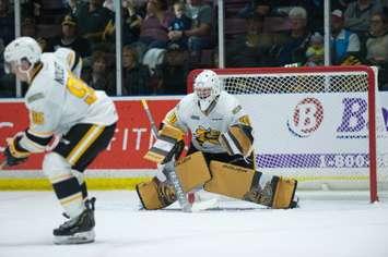 Sting goaltender Ben Gaudreau. (Photo courtesy of the Sarnia Sting Hockey Club.)