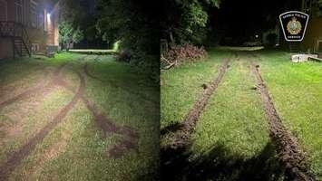 Impaired driver damages grass on Cobden Street - June 24/25 (Photo courtesy of Sarnia Police Service)