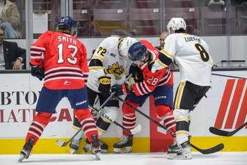 Sarnia Sting host the Oshawa Generals on Oct 12, 2024 (Photo by: Darren Metcalfe Photography)