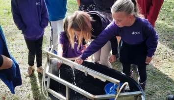 Students taking part in an activity at the Chatham-Kent & Lambton Children's Water Festival. (Photo by Jaryn Vecchio)