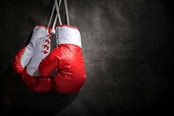 Boxing gloves (Photo by: Brian A. Jackson/iStock / Getty Images Plus)