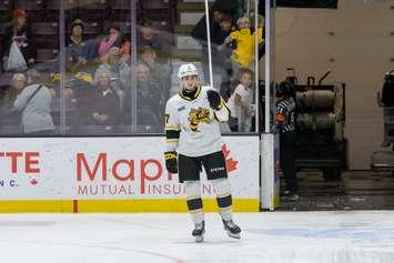 Sarnia Sting forward Alessandro Di Iorio (Photo courtesy of Metcalfe Photography)