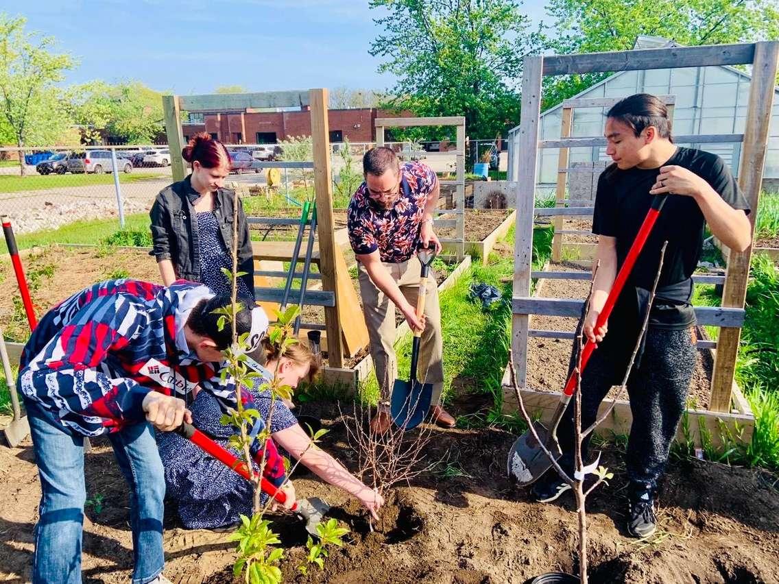 Students at Alexander Mackenzie Secondary School plant dwarf apple trees. 2022 photo courtesy of AMSS Facebook.