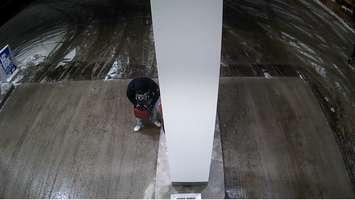 Surveillance Photo. Submitted By Sarnia Police Service. 