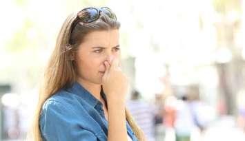 Smell. Photo by AntonioGuillem. iStock / Getty Images Plus