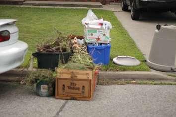 (BlackburnNews.com file photo by Shaun Garrity)