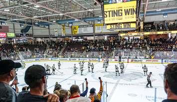 The Sarnia Sting celebrate a victory at PASA (Photo courtesy of Sarnia Sting)