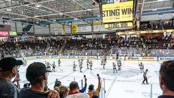 The Sarnia Sting celebrate a victory at PASA (Photo courtesy of Sarnia Sting)