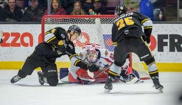 Sarnia Sting host the Windsor Spitfires on Feb. 22/25 (Photo by: Darren Metcalfe Photography)