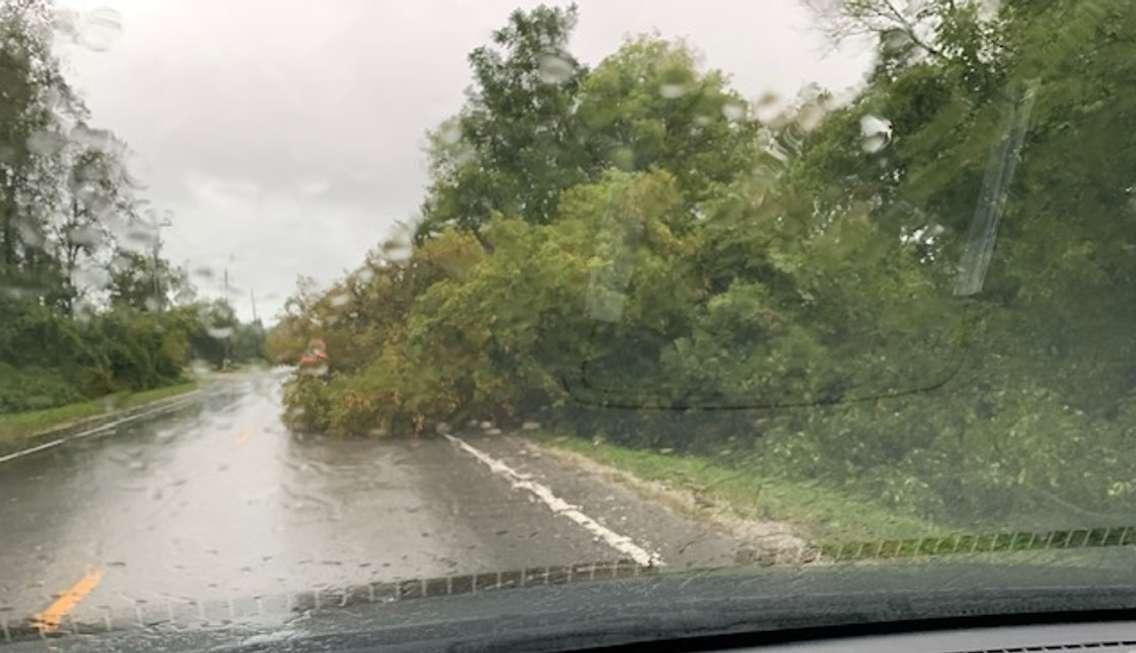 A downed tree on Waterworks Road near Brights Grove. September 22, 2021. (Photo submitted by Eve Morgan)