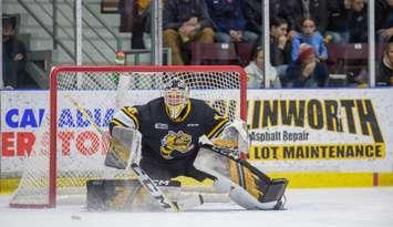 Sarnia Sting host the Saginaw Spirit in their last home game of the season, March 22, 2024 (Photo courtesy: Metcalfe Photography)