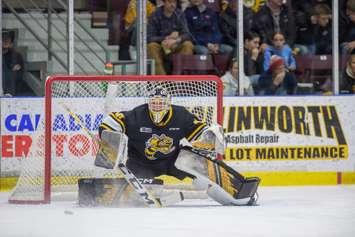 Sarnia Sting host the Saginaw Spirit in their last home game of the season, March 22, 2024 (Photo courtesy: Metcalfe Photography)