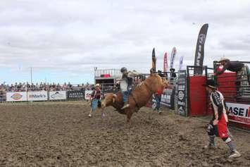The rodeo at the IPM. September 22, 2018. (Photo by Natalia Vega).
