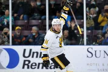 Sarnia Sting captain Brayden Guy in a game versus the London Knights.
October 16, 2021. (Metcalfe Photography)