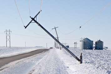 Ice storm damage (Image courtesy of dwhob via Getty Images)