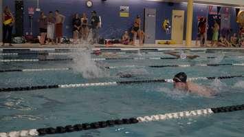 Swimmers taking part in the LKSSAA Swimming Championship from the Sarnia YMCA. January 17, 2019. (Photo by Colin Gowdy, BlackburnNews)