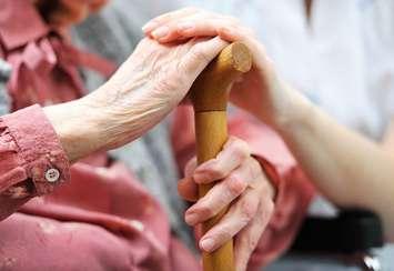 (Photo courtesy © Can Stock Photo / gajdamak)