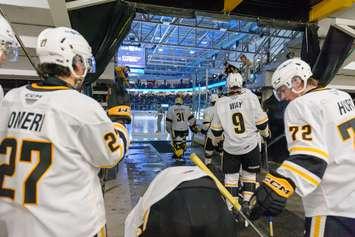 The Sarnia Sting prepare to take the ice - October 14, 2023 (Photo courtesy of Metcalfe Photography)