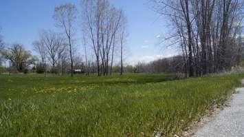 Vacant land at 1597 London Line in Sarnia. 30 April 2021. (BlackburnNews.com photo)