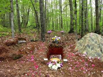 A natural burial plot (Photo Courtesy of Natural Burial Association)