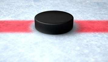 Hockey puck. 
© Can Stock Photo / albund