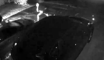 The suspect in a vehicle arson in Sarnia - Oct. 3/24 (Photo courtesy of Sarnia Police Service via YouTube video)