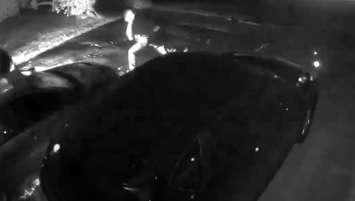 The suspect in a vehicle arson in Sarnia - Oct. 3/24 (Photo courtesy of Sarnia Police Service via YouTube video)