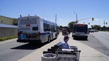 Sarnia Transit Murphy Rd. Bus Terminal. BlackburnNews.com photo by Melanie Irwin.