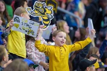 Students cheer on the Sarnia Sting at Progressive Auto Sales Arena. November 7, 2023. (Photo courtesy of Metcalfe Photography)