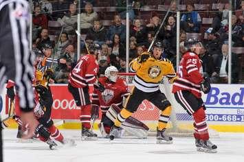 Pavel Zacha celebrates a goal in the Sting's 7-0 shutout of Guelph Nov. 14, 2015 (Photo courtesy of Metcalfe Photography)