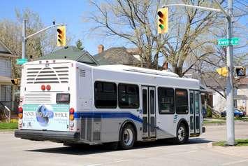 SARNIA TRANSIT- Blackburn News Sarnia File photo by Meghan Bond