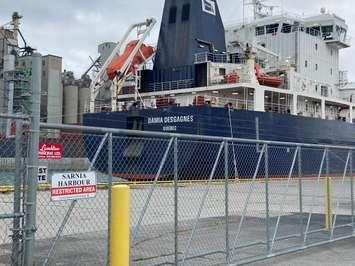 The Damia Desgagnes tanker at Sarnia Harbour. October 2, 2020. (BlackburnNews.com photo by Melanie Irwin)
