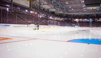 Arena team at Progressive Auto Sales Arena. Photo courtesy of the City of Sarnia Facebook page. 