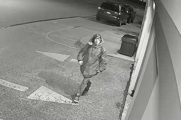 Sarnia police search for an attempted break and enter suspect - Dec 11/18 (Photo courtesy of Sarnia police)